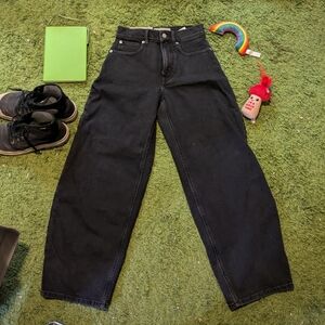 Everlane The Way High Barrel Jeans Size 24L NWT